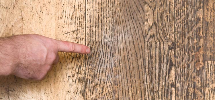 Wood Door Scratch Repair in Gold River